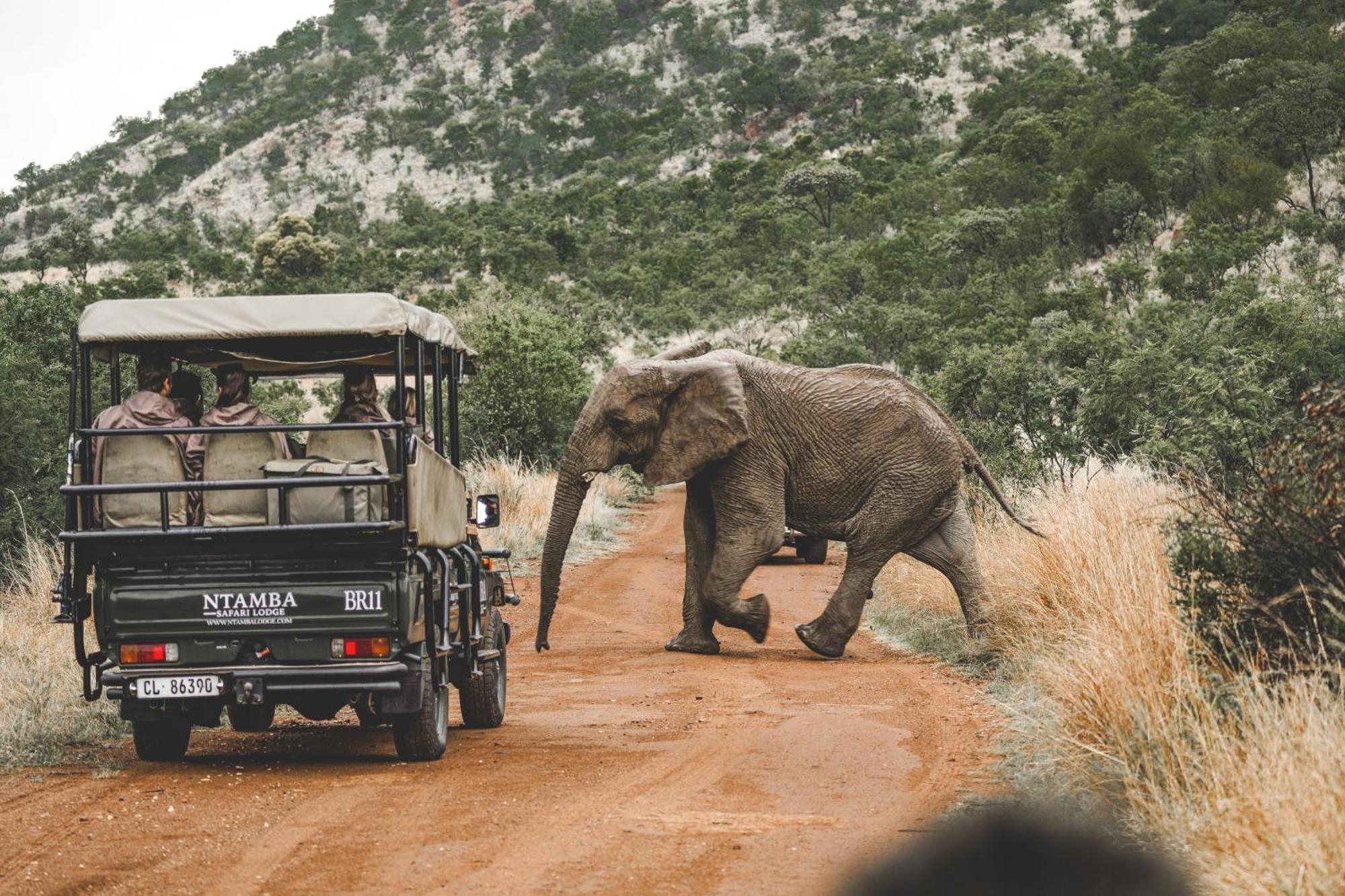 Ntamba Safari Lodge Matlhagame ภายนอก รูปภาพ